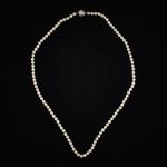 1289 2216 PEARL NECKLACE